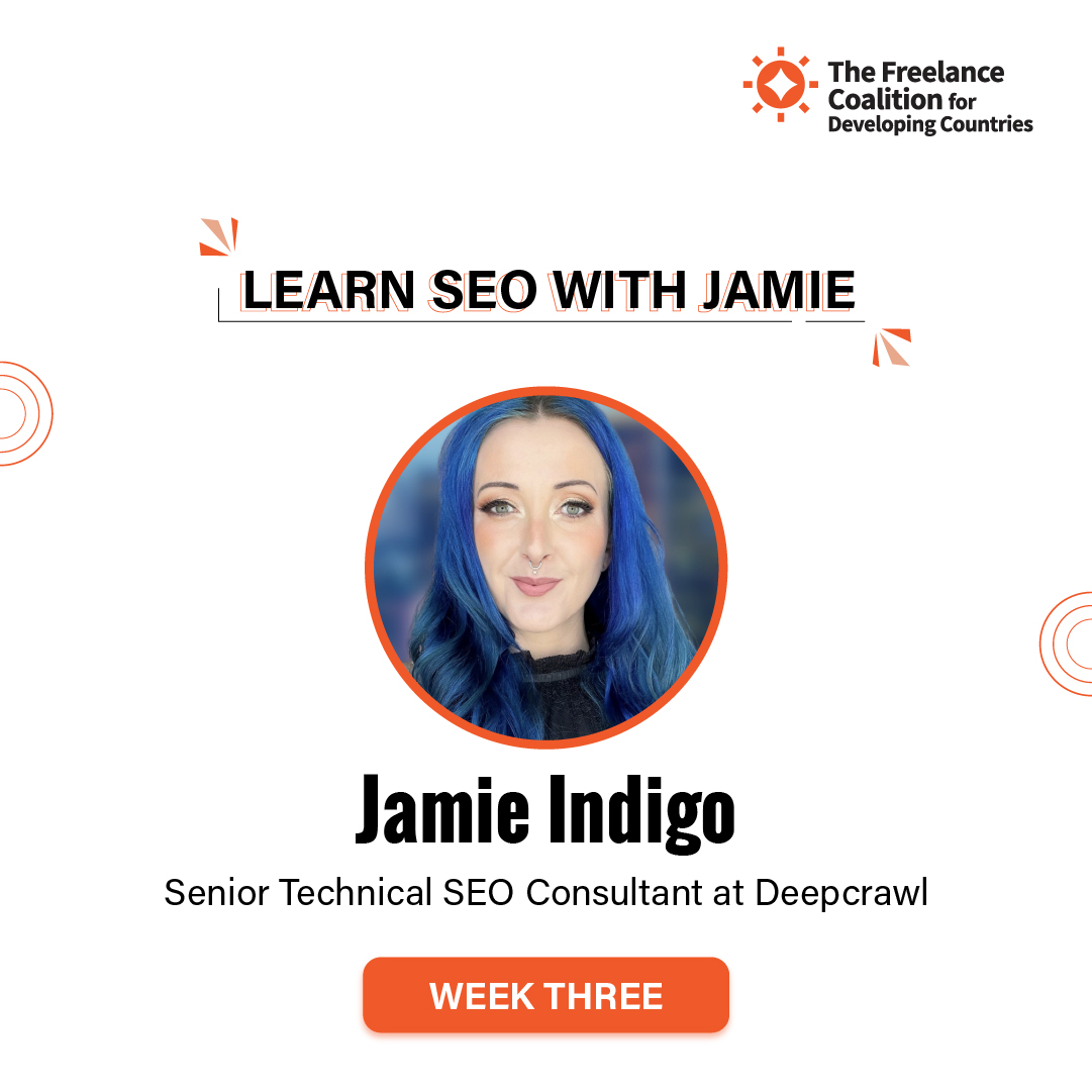 LEARN SEO WITH JAMIE INDIGO 3